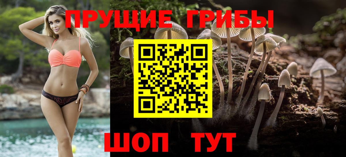 Псилоцибиновые грибы Psilocybine cubensis  сколько стоит  Феодосия  Вход с VPN 